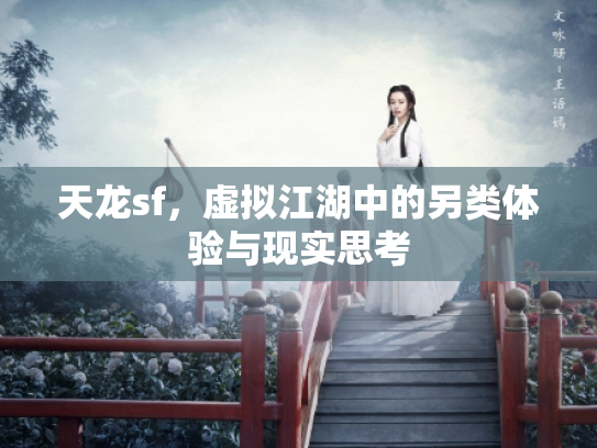 天龙sf，虚拟江湖中的另类体验与现实思考