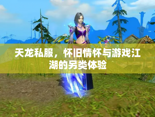 天龙私服，怀旧情怀与游戏江湖的另类体验