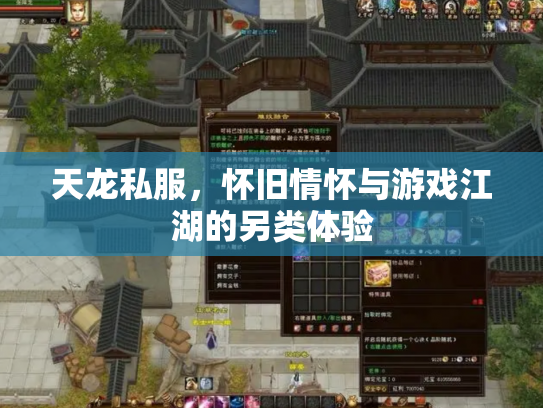天龙私服，怀旧情怀与游戏江湖的另类体验