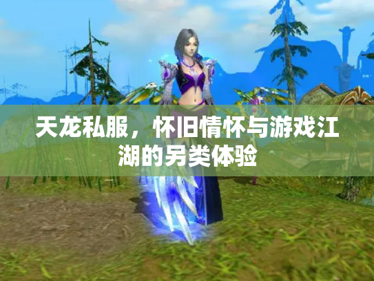 天龙私服，怀旧情怀与游戏江湖的另类体验
