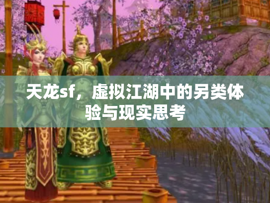 天龙sf，虚拟江湖中的另类体验与现实思考