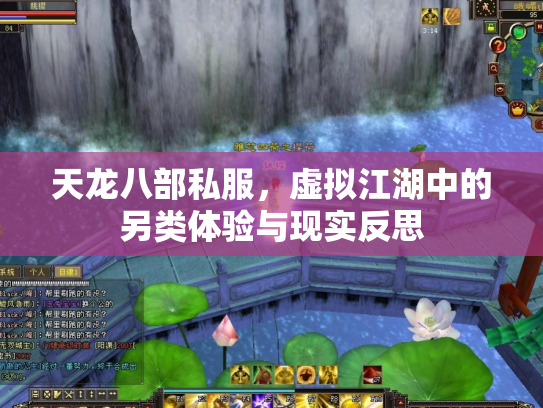 天龙八部私服，虚拟江湖中的另类体验与现实反思
