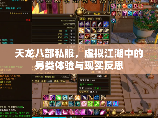 天龙八部私服，虚拟江湖中的另类体验与现实反思