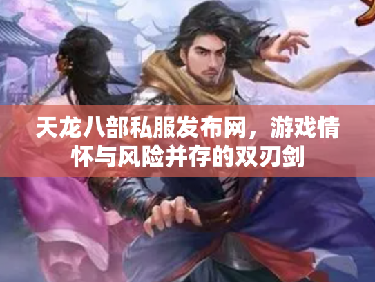 天龙八部私服发布网，游戏情怀与风险并存的双刃剑
