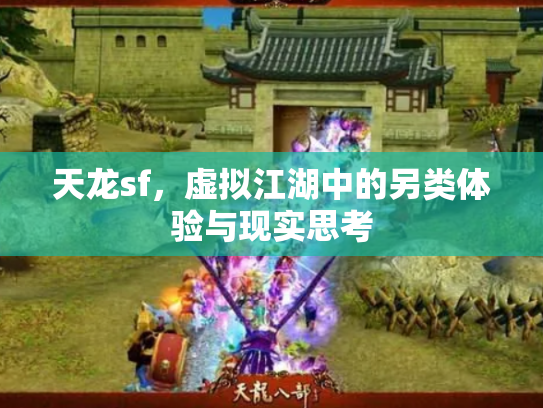 天龙sf，虚拟江湖中的另类体验与现实思考