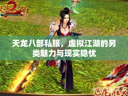 天龙八部私服，虚拟江湖的另类魅力与现实隐忧