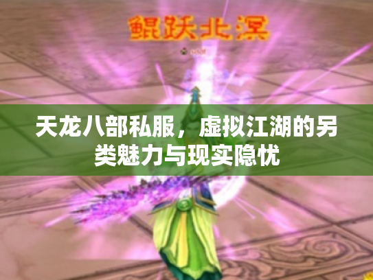 天龙八部私服，虚拟江湖的另类魅力与现实隐忧
