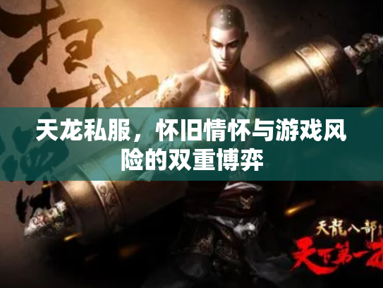 天龙私服，怀旧情怀与游戏风险的双重博弈