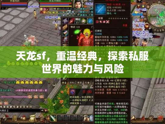 天龙sf，重温经典，探索私服世界的魅力与风险