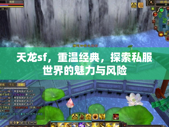 天龙sf，重温经典，探索私服世界的魅力与风险