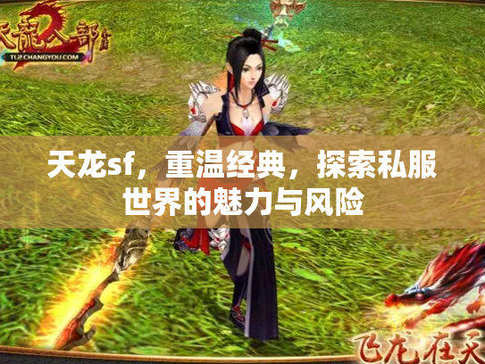 天龙sf，重温经典，探索私服世界的魅力与风险
