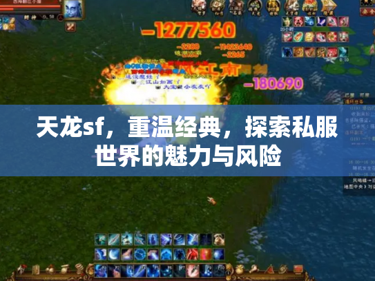 天龙sf，重温经典，探索私服世界的魅力与风险