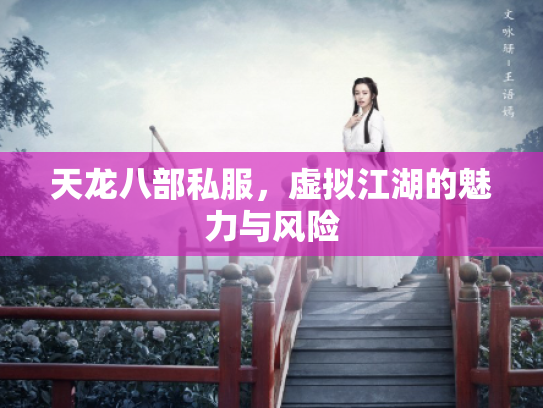 天龙八部私服，虚拟江湖的魅力与风险