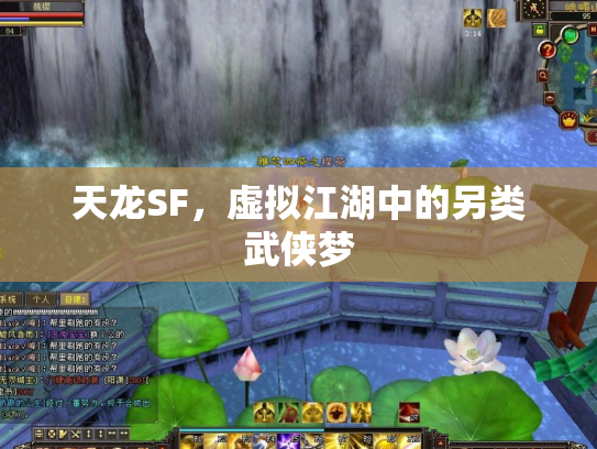 天龙SF，虚拟江湖中的另类武侠梦