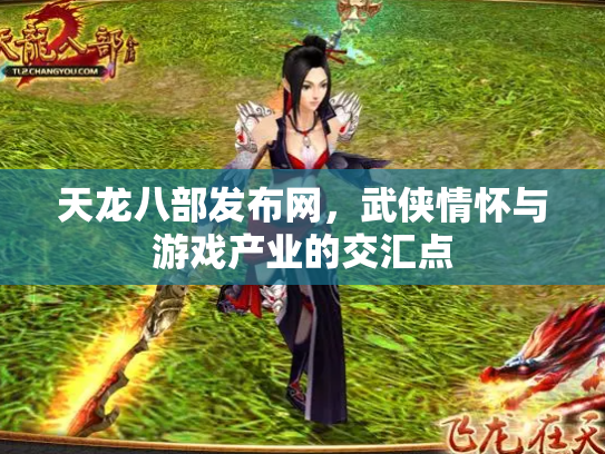 天龙八部发布网，武侠情怀与游戏产业的交汇点