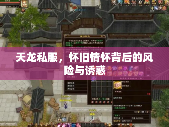 天龙私服，怀旧情怀背后的风险与诱惑