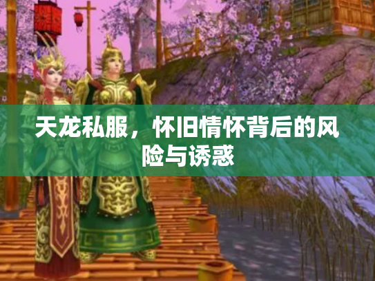 天龙私服，怀旧情怀背后的风险与诱惑