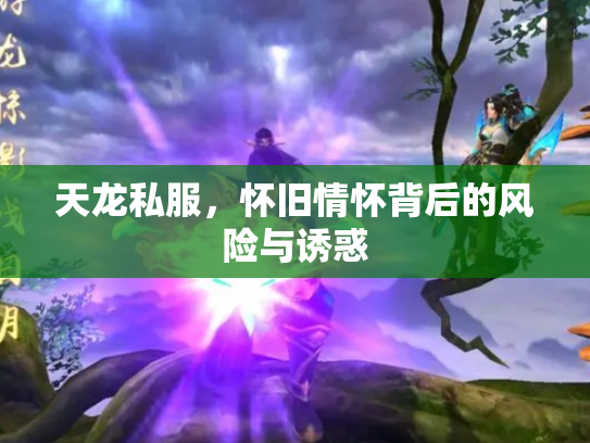 天龙私服，怀旧情怀背后的风险与诱惑