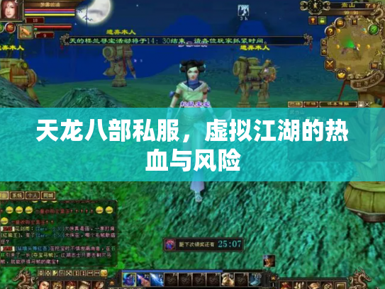 天龙八部私服，虚拟江湖的热血与风险