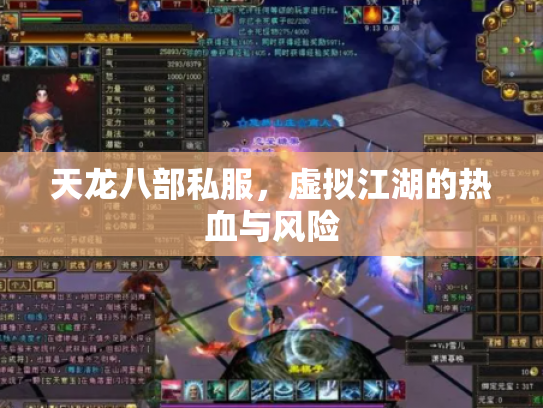 天龙八部私服，虚拟江湖的热血与风险