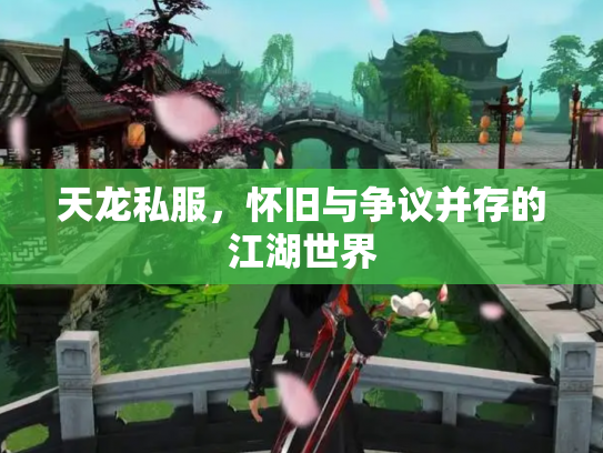 天龙私服，怀旧与争议并存的江湖世界