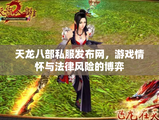 天龙八部私服发布网，游戏情怀与法律风险的博弈