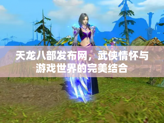 天龙八部发布网，武侠情怀与游戏世界的完美结合