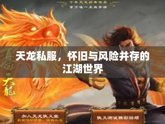 天龙私服，怀旧与风险并存的江湖世界
