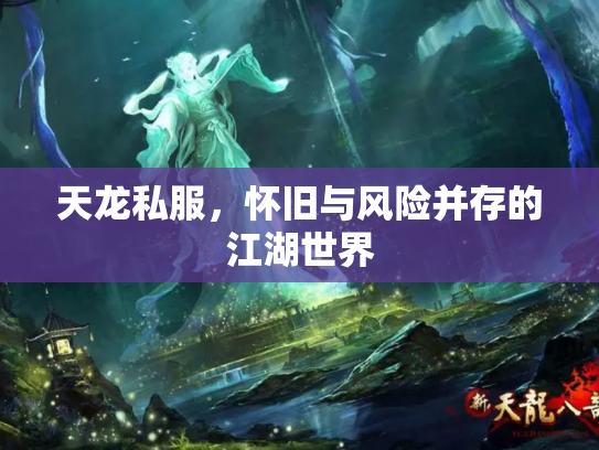 天龙私服，怀旧与风险并存的江湖世界