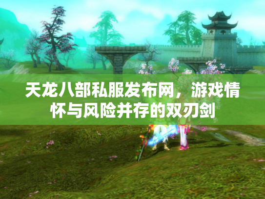 天龙八部私服发布网，游戏情怀与风险并存的双刃剑