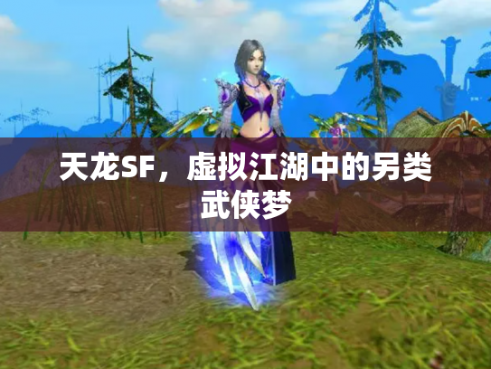 天龙SF，虚拟江湖中的另类武侠梦