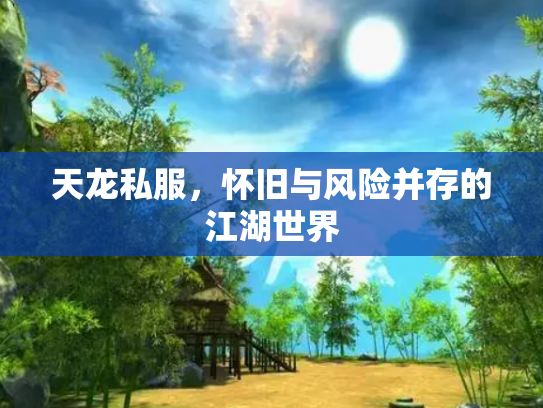 天龙私服，怀旧与风险并存的江湖世界