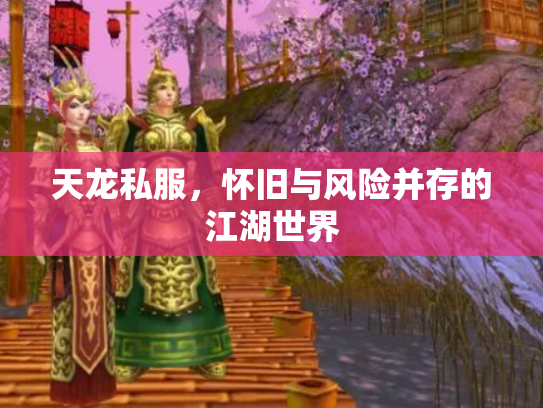 天龙私服，怀旧与风险并存的江湖世界