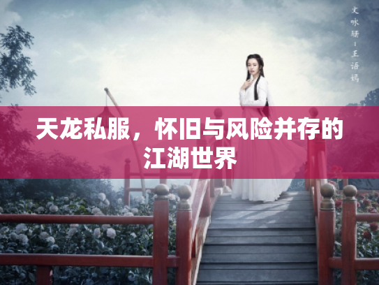 天龙私服，怀旧与风险并存的江湖世界