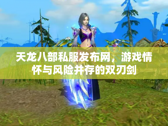 天龙八部私服发布网，游戏情怀与风险并存的双刃剑