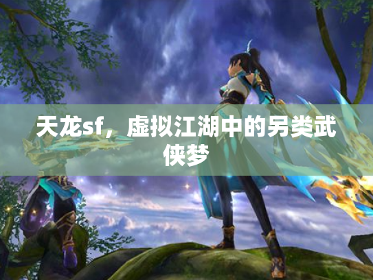 天龙sf，虚拟江湖中的另类武侠梦