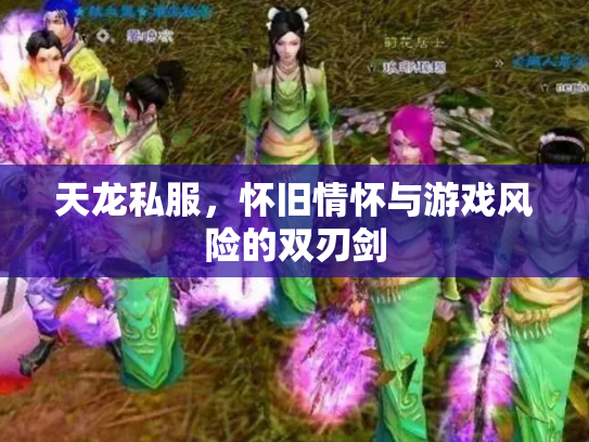 天龙私服，怀旧情怀与游戏风险的双刃剑
