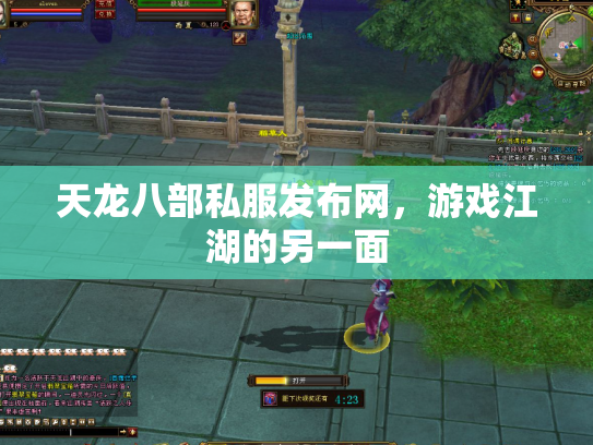 天龙八部私服发布网，游戏江湖的另一面