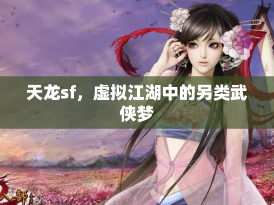 天龙sf，虚拟江湖中的另类武侠梦