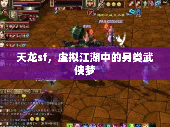 天龙sf，虚拟江湖中的另类武侠梦