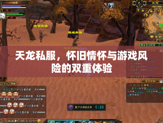 天龙私服，怀旧情怀与游戏风险的双重体验