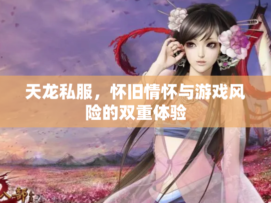 天龙私服，怀旧情怀与游戏风险的双重体验