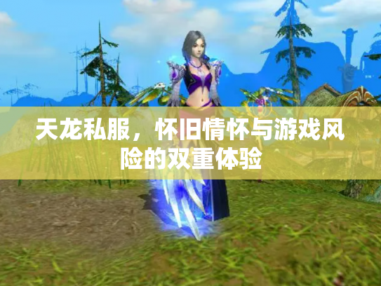 天龙私服，怀旧情怀与游戏风险的双重体验