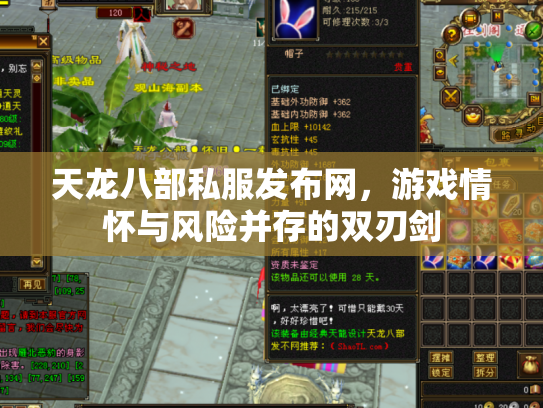 天龙八部私服发布网，游戏情怀与风险并存的双刃剑