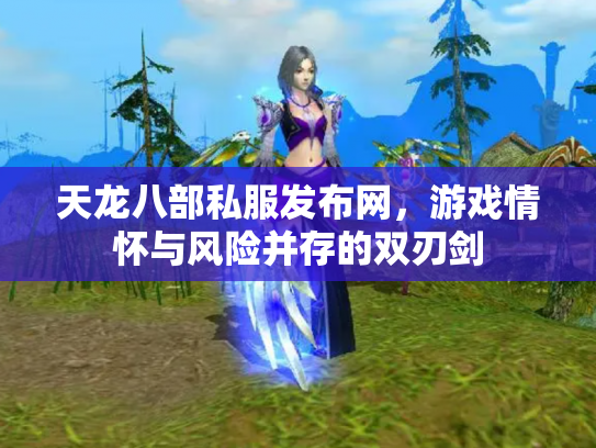 天龙八部私服发布网，游戏情怀与风险并存的双刃剑