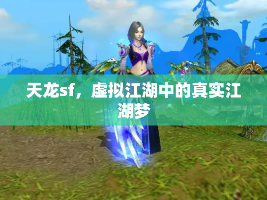 天龙sf，虚拟江湖中的真实江湖梦