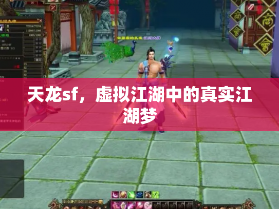 天龙sf，虚拟江湖中的真实江湖梦
