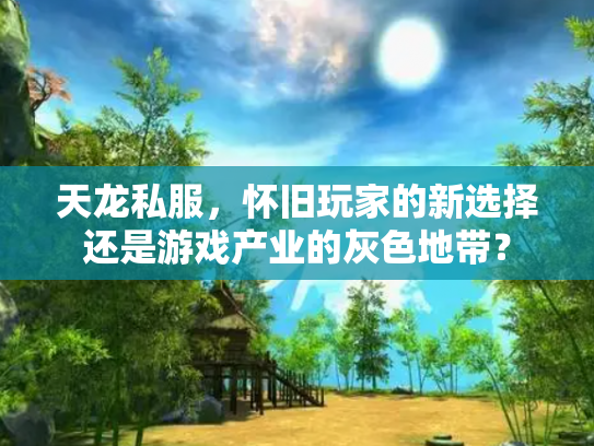 天龙私服，怀旧玩家的新选择还是游戏产业的灰色地带？