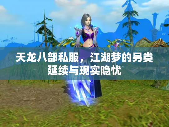 天龙八部私服，江湖梦的另类延续与现实隐忧