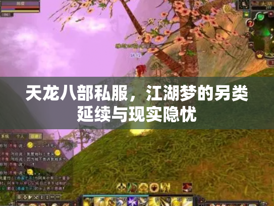 天龙八部私服，江湖梦的另类延续与现实隐忧